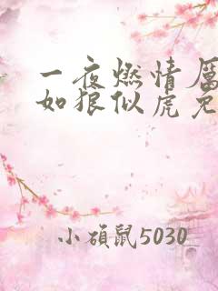 一夜燃情厉先生如狼似虎免费阅读动漫