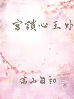 宫锁心玉外传