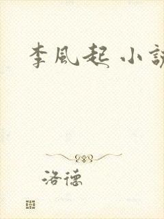 李风起 小说