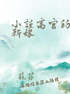 小说高官的暗夜新娘