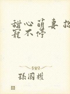 甜心萌妻 总裁宠不停