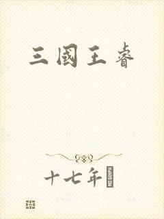 三国王睿