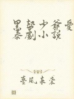 黑帮少爷爱上我泰剧小说