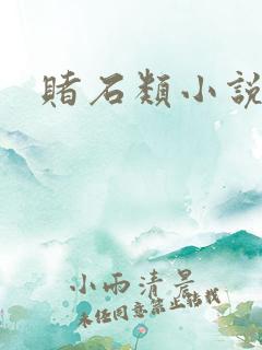 赌石类小说