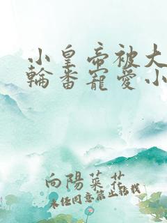 小皇帝被大臣们轮番宠爱小说