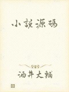 小说源码