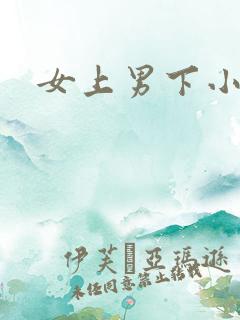 女上男下小说