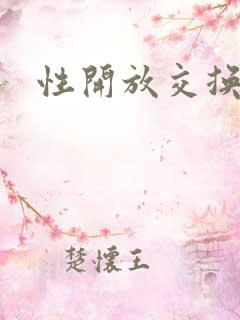 性开放交换小说