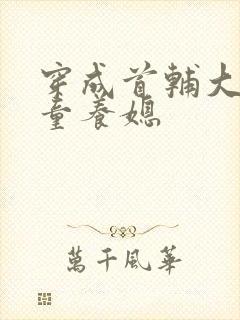 穿成首辅大人的童养媳