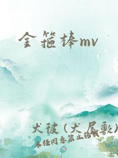 金箍棒mv