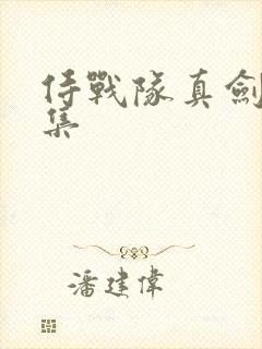 侍战队真剑者全集