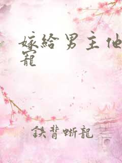 嫁给男主他爹肉宠