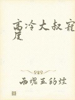 高冷大叔宠妻无度