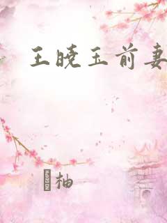 王晓玉前妻
