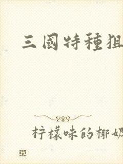 三国特种狙击手