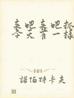 来吧来吧抓紧点今天有一样好东西