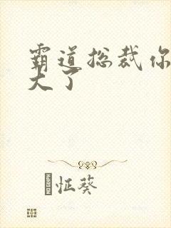 霸道总裁你的太大了