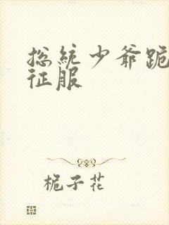 总统少爷跪地唱征服