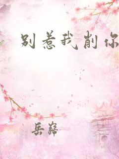 别惹我削你