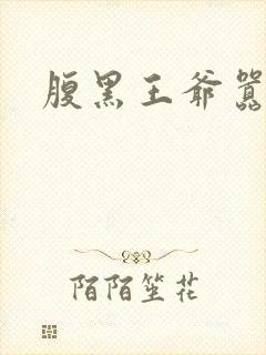 腹黑王爷嚣张妻