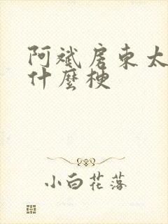 阿斌房东太太是什么梗