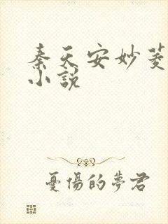 秦天安妙菱修仙小说