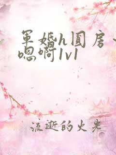 军婚h圆房～h嗯啊1v1