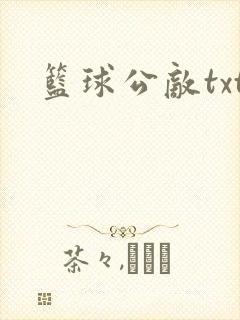 篮球公敌txt