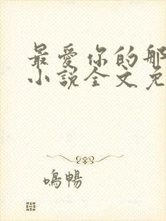 最爱你的那十年小说全文免费阅读