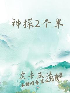 神探2个半