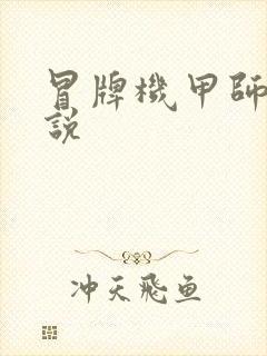 冒牌机甲师 小说