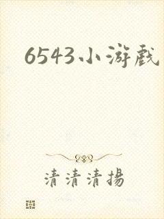6543小游戏