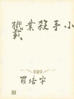 职业杀手小说下载