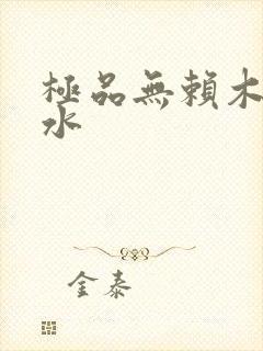 极品无赖木石山水