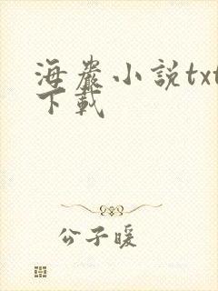 海岩小说txt下载