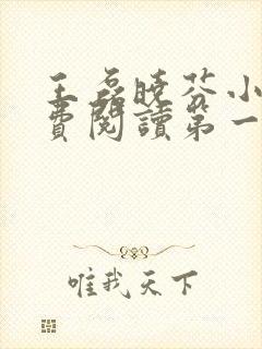 王磊晓芬小说免费阅读第一章