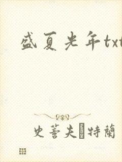 盛夏光年txt