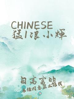 CHINESE猛1浪小辉