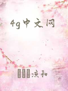 4g中文网