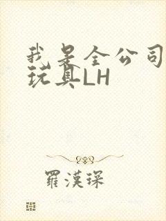我是全公司发泄玩具LH