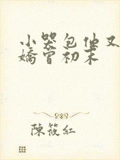 小哭包他又软又娇曾初末