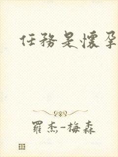 任务是怀孕系统