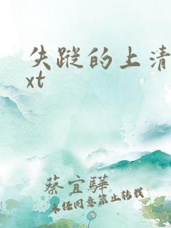 失踪的上清寺txt