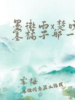 墨微雨x楚晚宁塞橘子哪一章