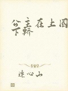 公主在上国师请下轿