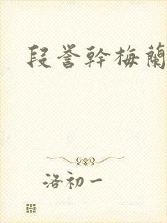 段誉干梅兰竹菊