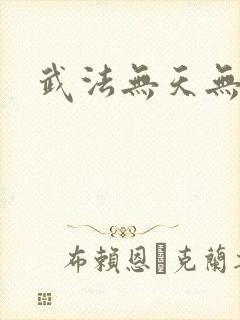 武法无天无弹窗