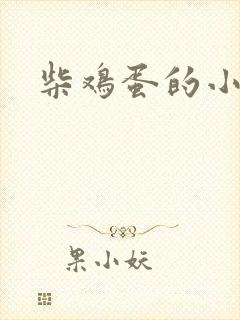 柴鸡蛋的小说