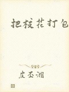 把校花打包带走