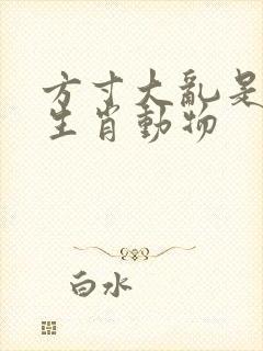 方寸大乱是什么生肖动物